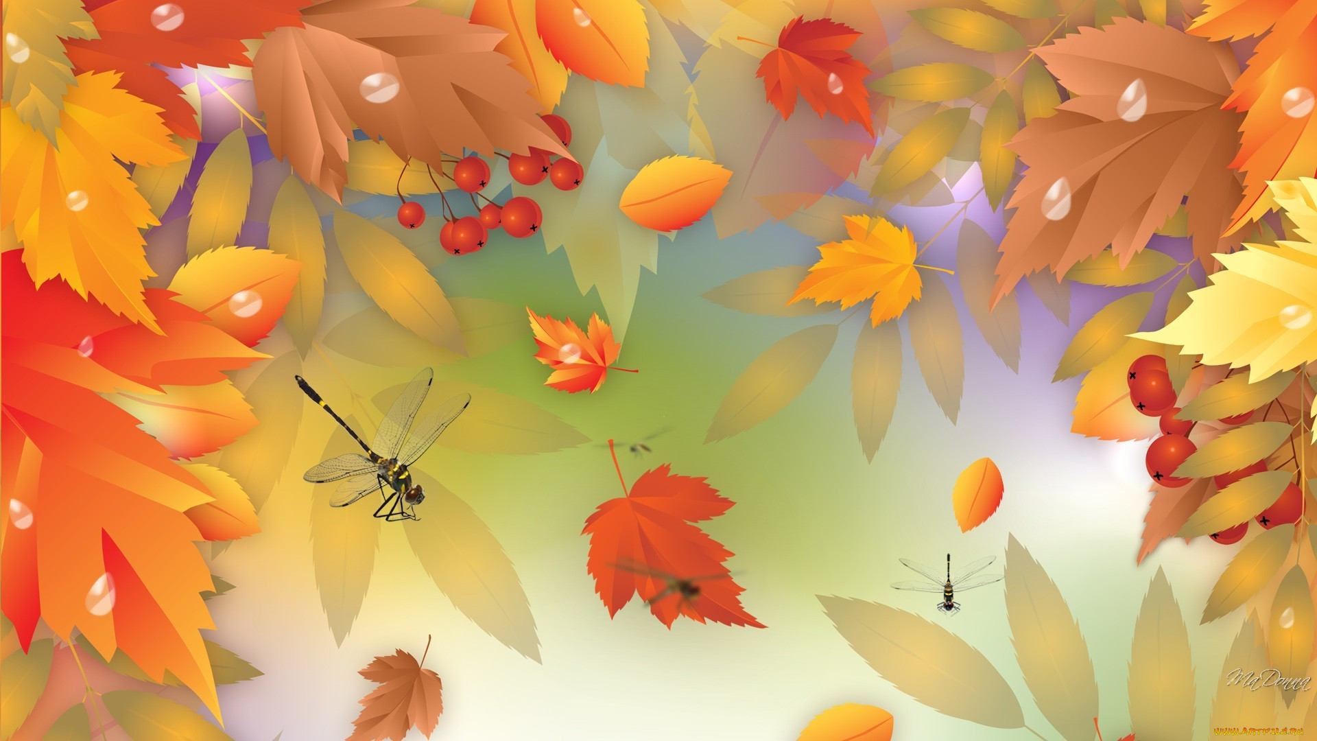  ,  , nature, , , , , 